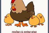 Phân tích câu “Chuồng gà hướng Đông, cái lông chẳng còn” dưới góc nhìn phong thủy