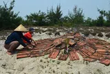 Mộ gió – nét văn hóa tâm linh đặc biệt của miền Trung