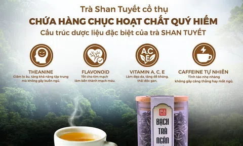 Tách Trà – Hay Một Bài Thuốc Tự Thiên Nhiên?