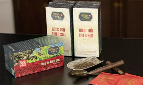 Hồng Trà Thiên Sơn Túi Lọc – Tuyệt Tác “Black Tea” Việt