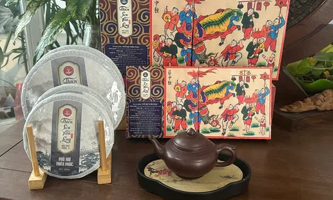 Lợi ích tiêu hóa của Phổ Nhĩ Thiên Phúc