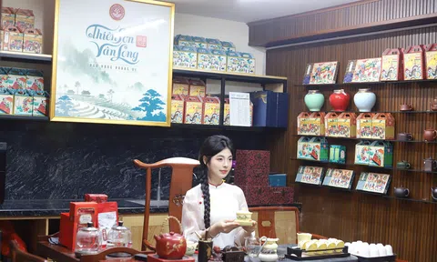 Lá trà Shan Tuyết cổ thụ – Di sản sống giữa đại ngàn, tinh hoa văn hoá trà Việt