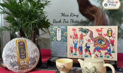 Bộ trà Múa Rồng – Bạch trà Thiên Sơn: Tinh khiết như sương mai, mạnh mẽ như rồng thiêng