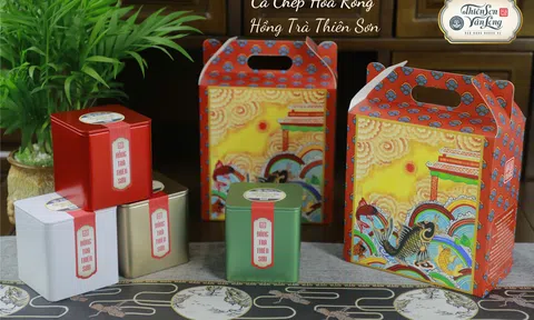Cá Chép Vượt Vũ Môn – Hồng trà Thiên Sơn Vân Long: Vị trà của tinh hoa đại ngàn và khát vọng Việt