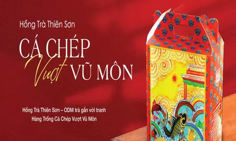 Trà Thiên Sơn Vân Long: Bảo chứng của di sản văn hoá cổ xưa và công nghệ tân tiến hiện đại