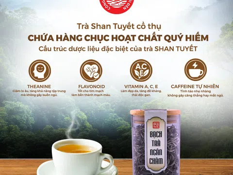 Tách Trà – Hay Một Bài Thuốc Tự Thiên Nhiên?