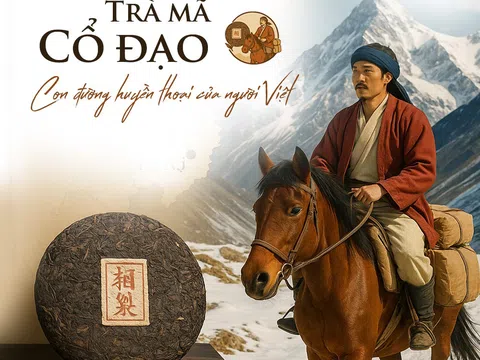 Trà Dược Núi Đèn: Nâng Tầm Quốc Bảo Trà Việt Trên Hành Trình Văn Hóa Ngàn Năm