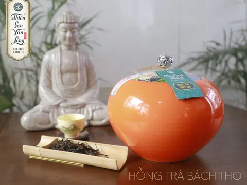 Hồng Trà Bách Thọ – Trà dược shan tuyết cổ thụ đang được giới khoa học quan tâm