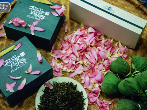 Cách chọn trà sen chuẩn vị: Từ sen Tây Hồ đến tinh hoa Lục Trà Sen Thiên Sơn