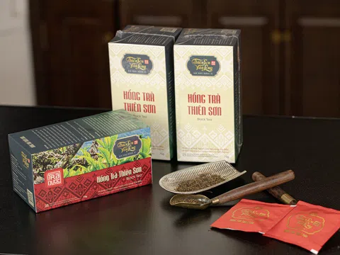 Hồng Trà Thiên Sơn Túi Lọc – Tuyệt Tác “Black Tea” Việt