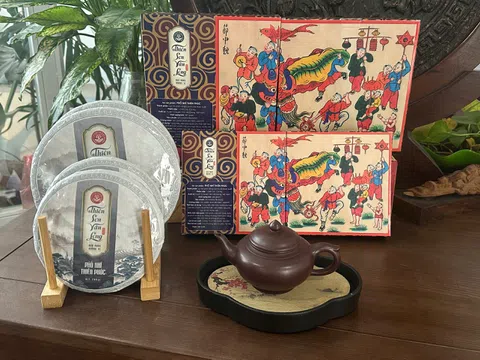 Lợi ích tiêu hóa của Phổ Nhĩ Thiên Phúc