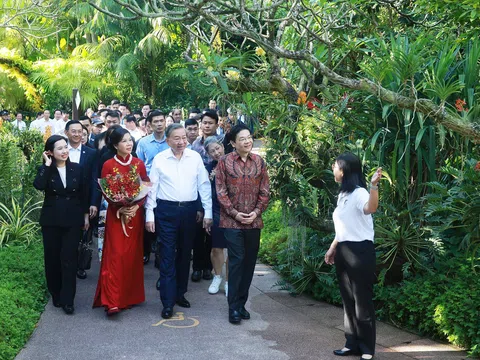 Singapore vinh danh Tổng Bí thư Tô Lâm với loài hoa lan mang tên "Tô Lâm Linh Ly"