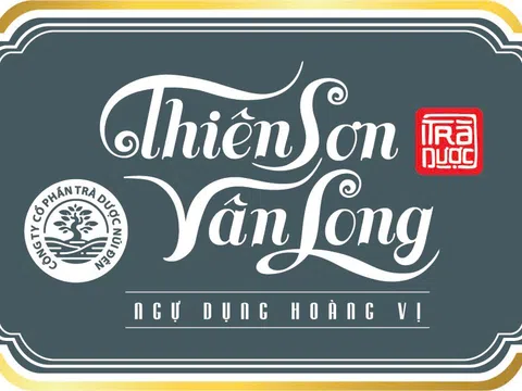 Thiên Sơn Vân Long: Tinh hoa Trà Việt