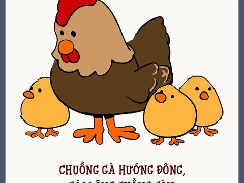 Phân tích câu “Chuồng gà hướng Đông, cái lông chẳng còn” dưới góc nhìn phong thủy