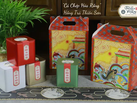 Cá Chép Vượt Vũ Môn – Hồng trà Thiên Sơn Vân Long: Vị trà của tinh hoa đại ngàn và khát vọng Việt